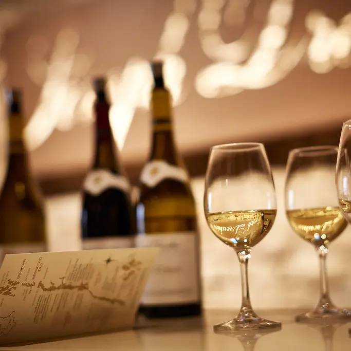 Maison Joseph Drouhin  - Beaune