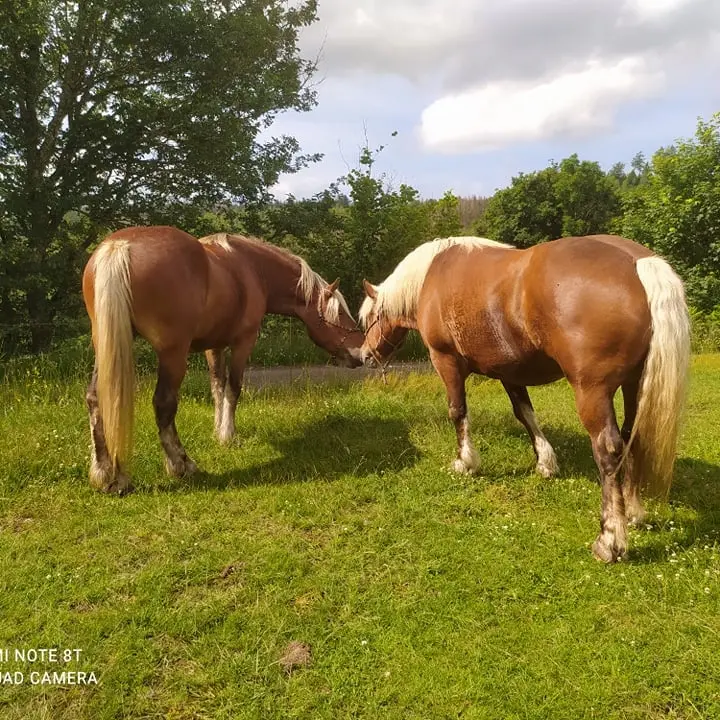 321190975_1101474083876150_8754359992031248472_n