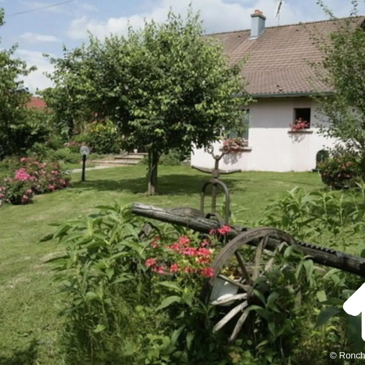 CHAMBRE D'HOTES LES GROS CHENES_3