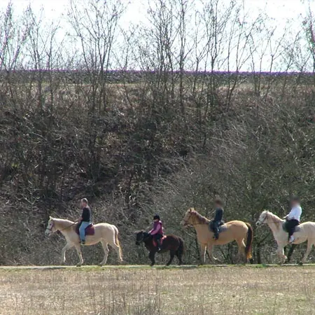 CORRAL RANCH_2