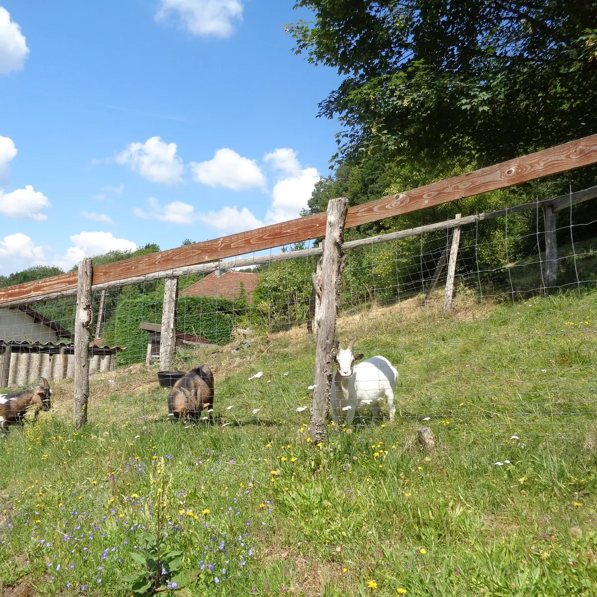 37175291_2150940184920279_6821470821345656832_o