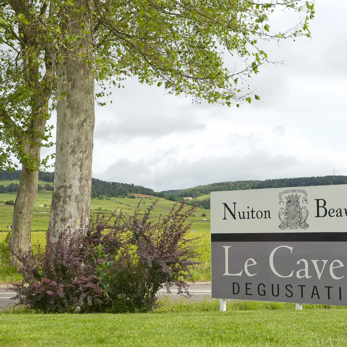Entrée Caves des Hautes Côtes