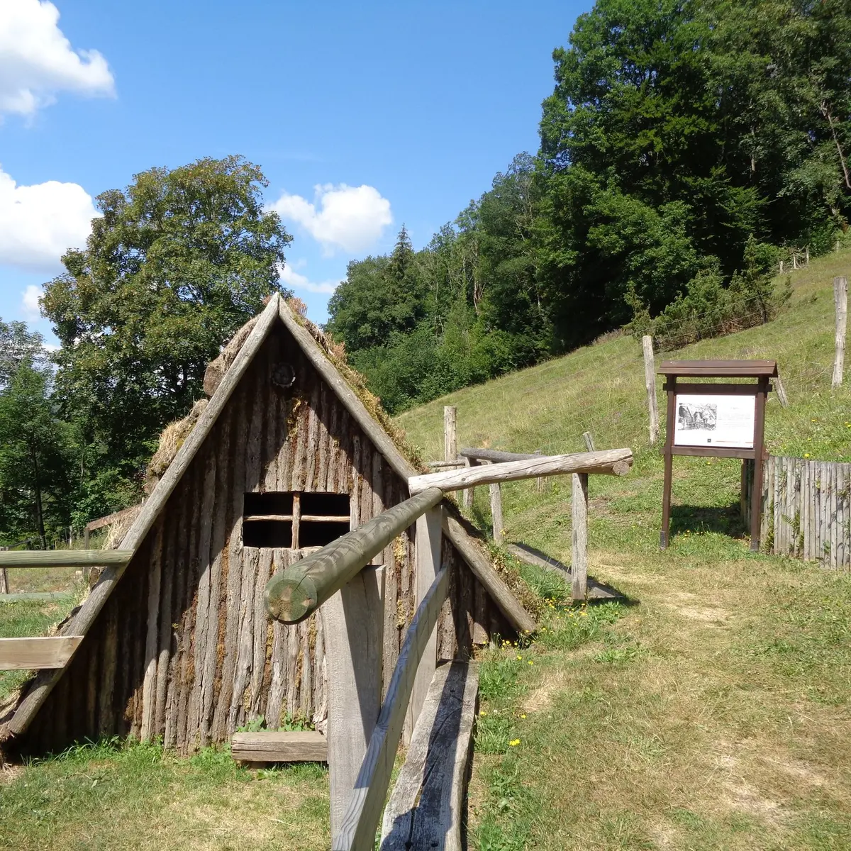 58442201_2596390057041954_6109021495961321472_n