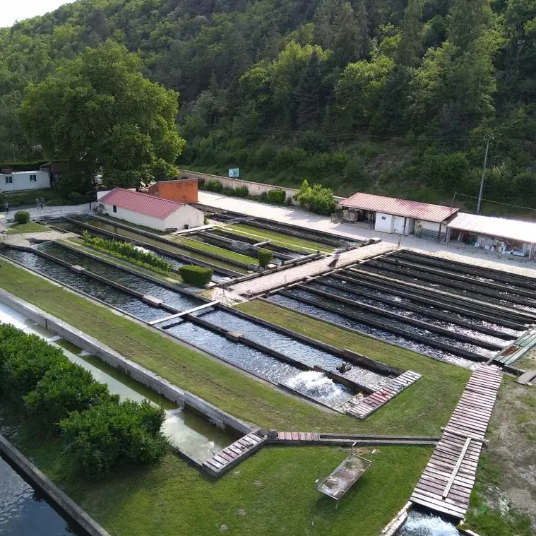 FERME AQUACOLE DE CRISENON