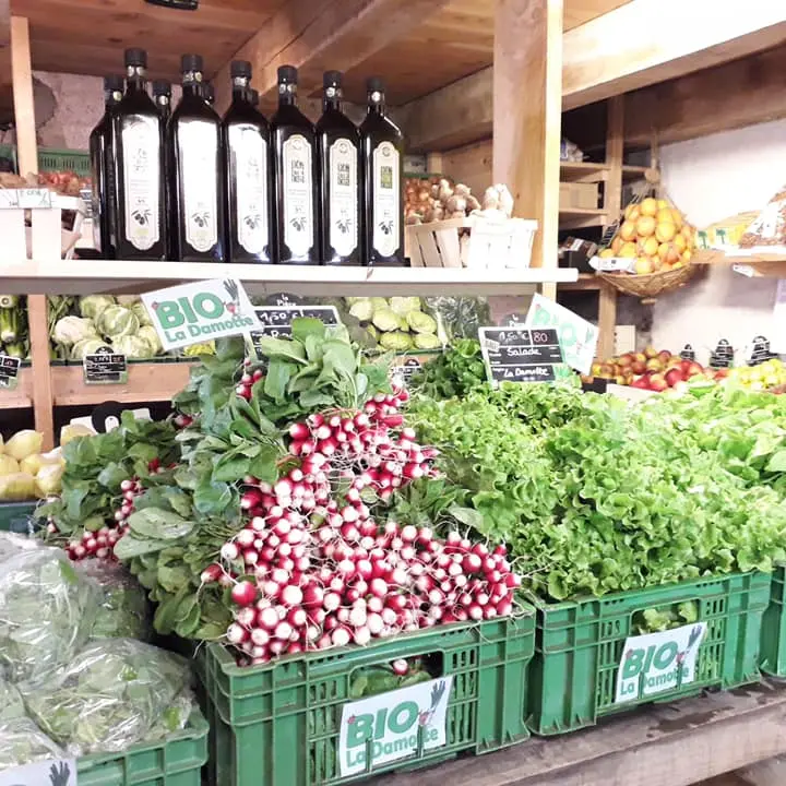 Bio la Damotte