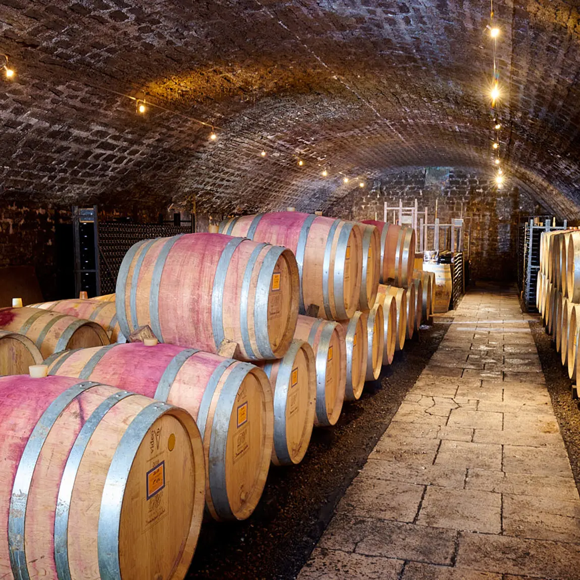 Cave-Domaine-Gallois-retaille