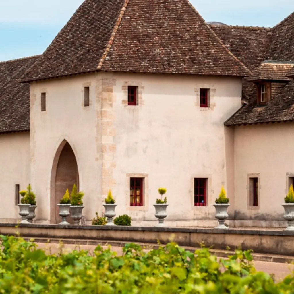 Degustation-Chateau-de-Marsannay