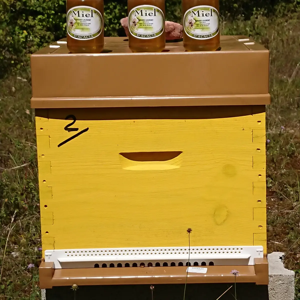 Chatenoy-le-Royal---Les-Abeilles-du-Lolo---2019--4-
