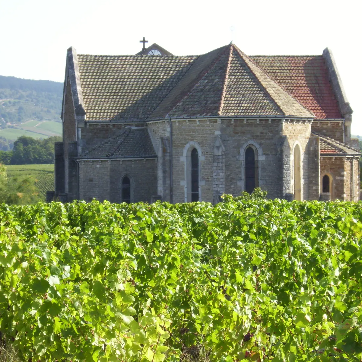 Cheilly-les-Maranges-eglise-2009-OT