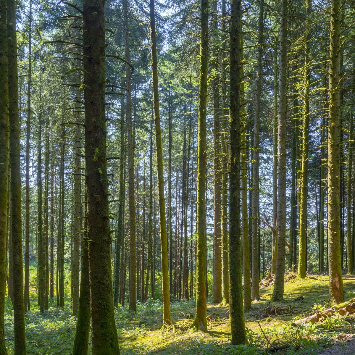 Alain_DOIRE__BFC_Tourisme-BFC_0015067