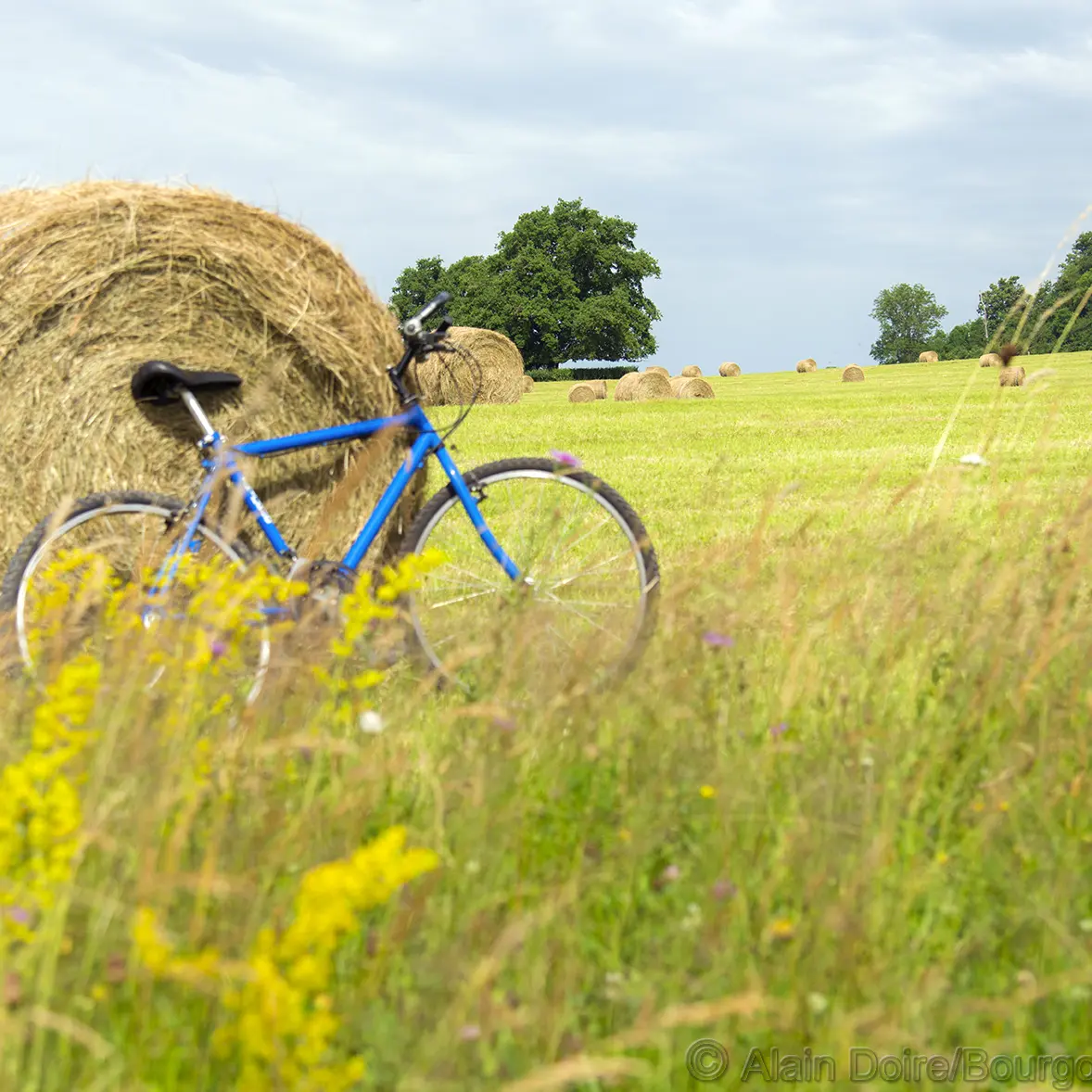 BFC-0009668_Héritour