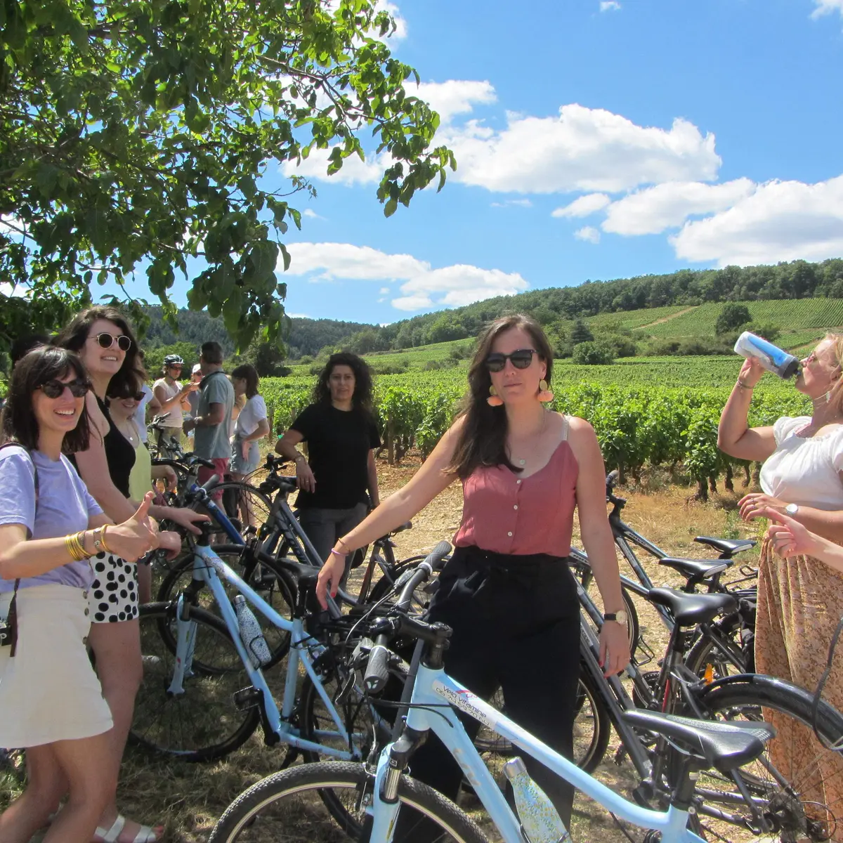 Balade dans les vignes - Beaune
