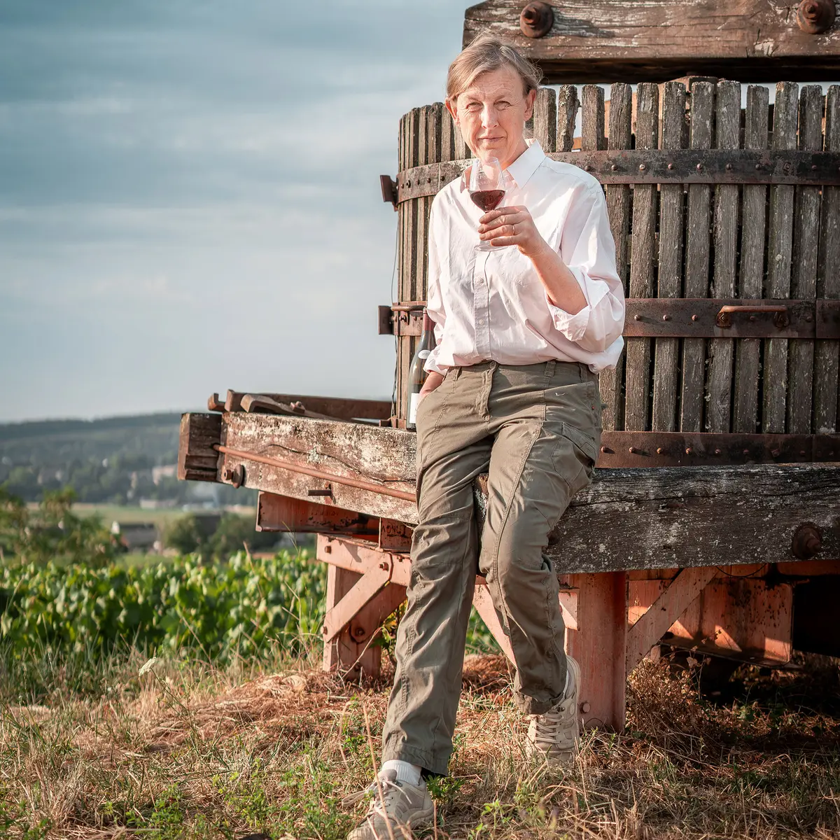 DOMAINE-DU-MEIX-FOULOT-HD-(14)