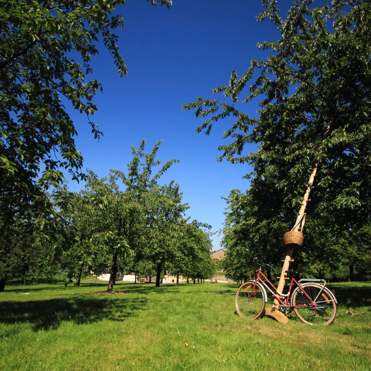 circuit de l'écomusée - vergers de l'écomusée