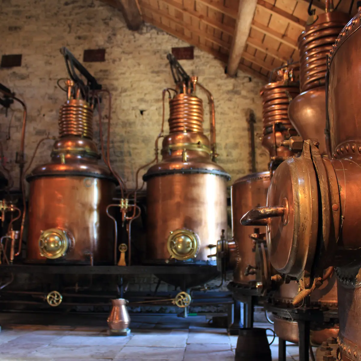 circuit de l'écomusée - alambics