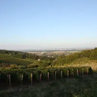 Domaine Chofflet-Valdenaire