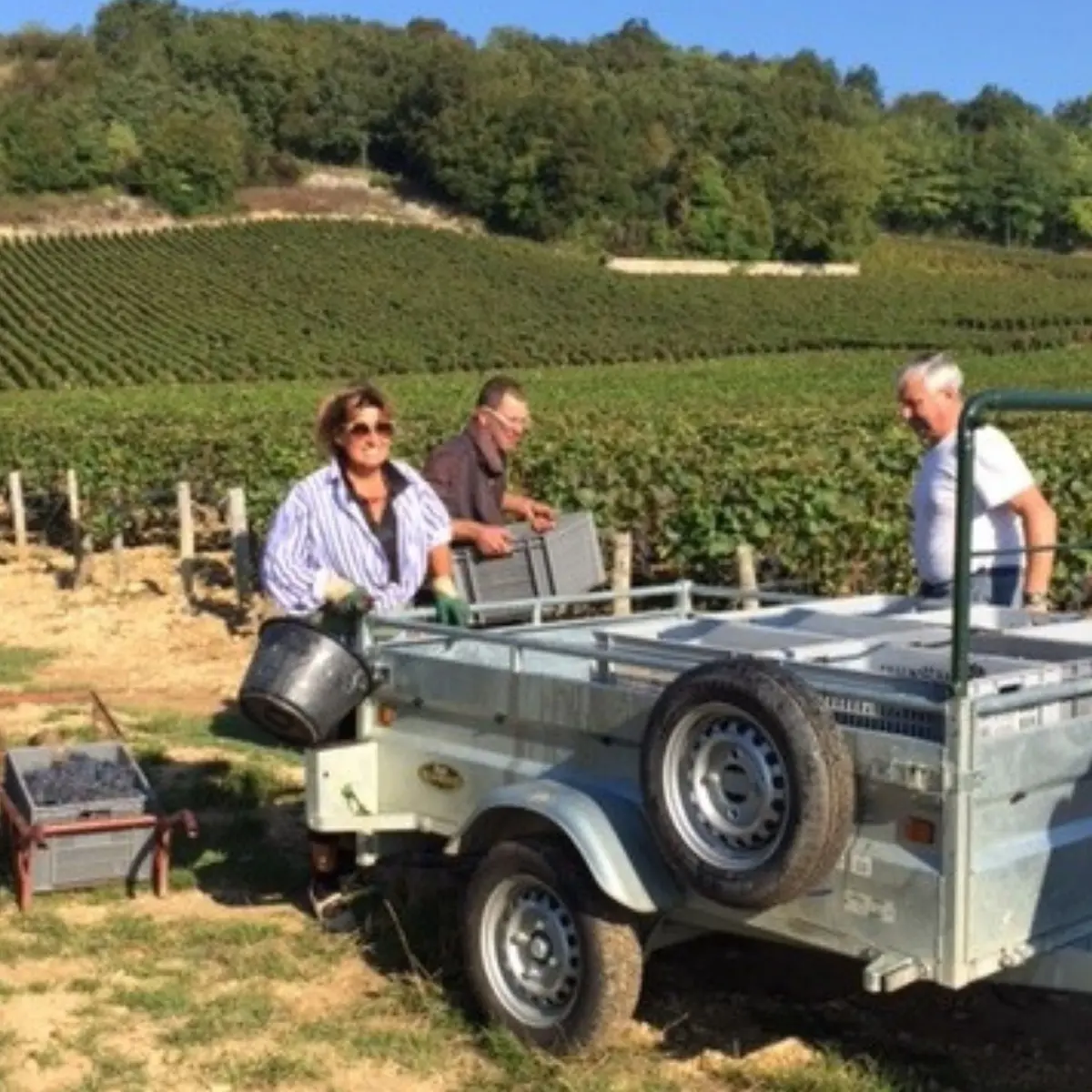 Domaine De Cardon 1