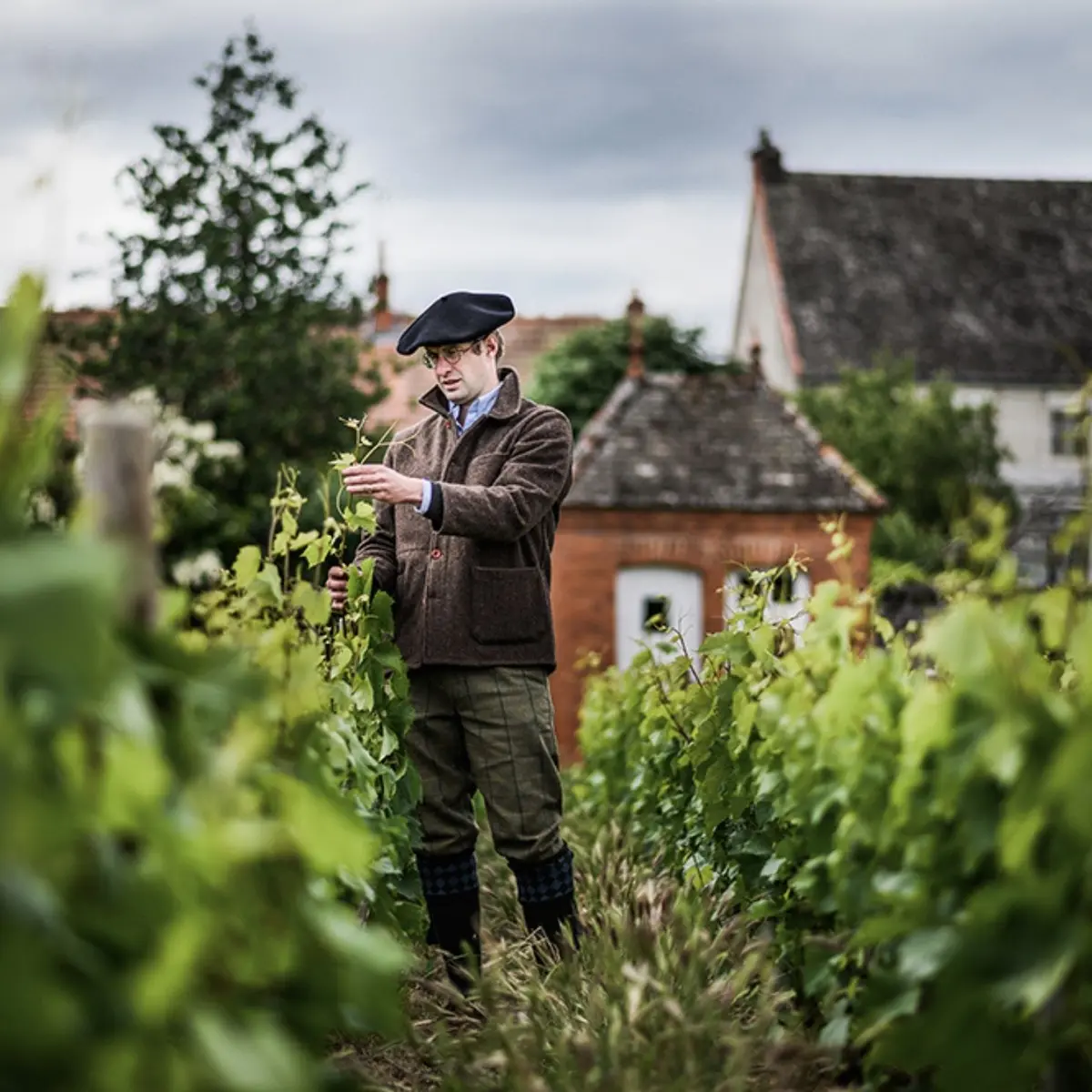 Domaine Heitz Armand 2