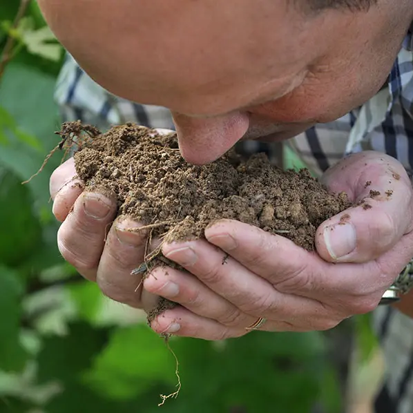 Domaine-Patrick-Hudelot-2