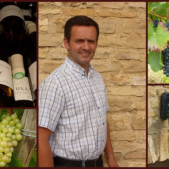 Domaine de l'Ecette - Daux Vincent