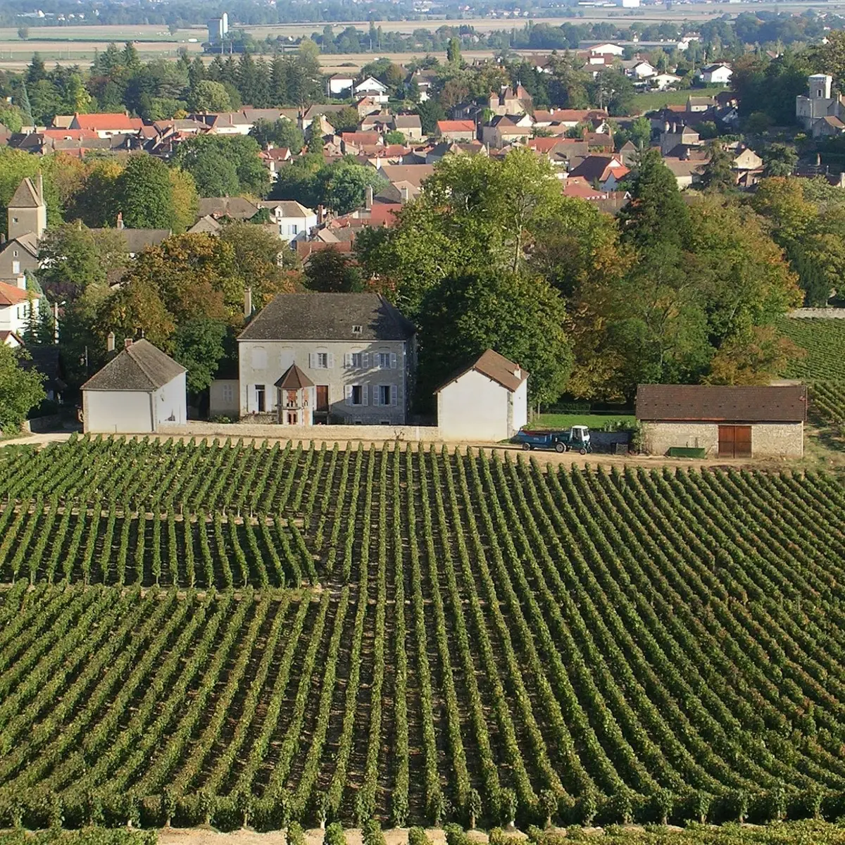 Domaine des Chauchoux 1