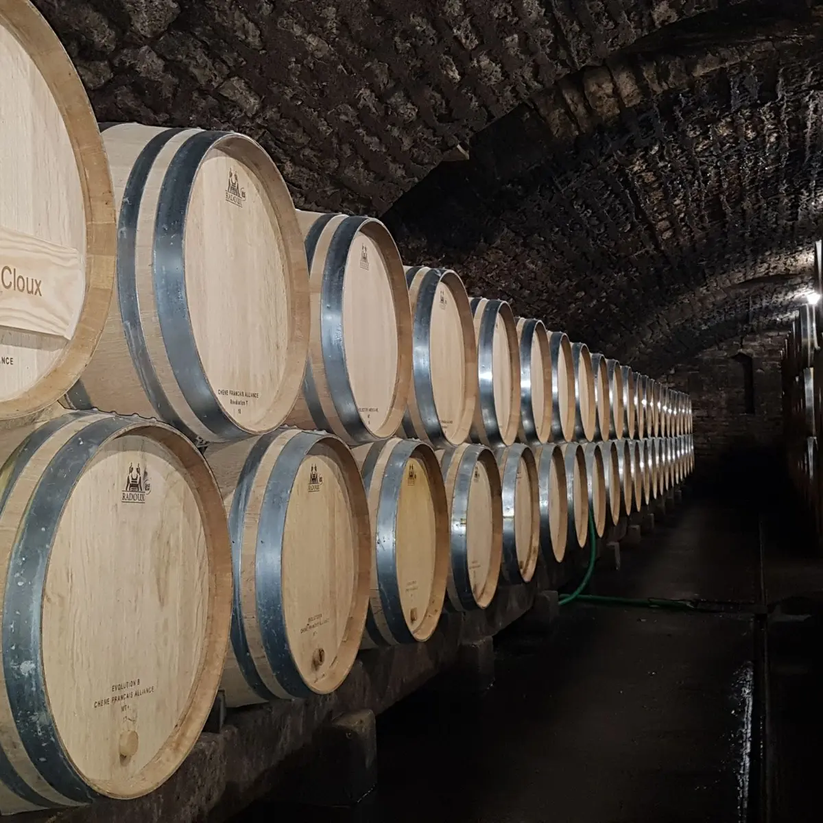 Domaine des Chauchoux 2