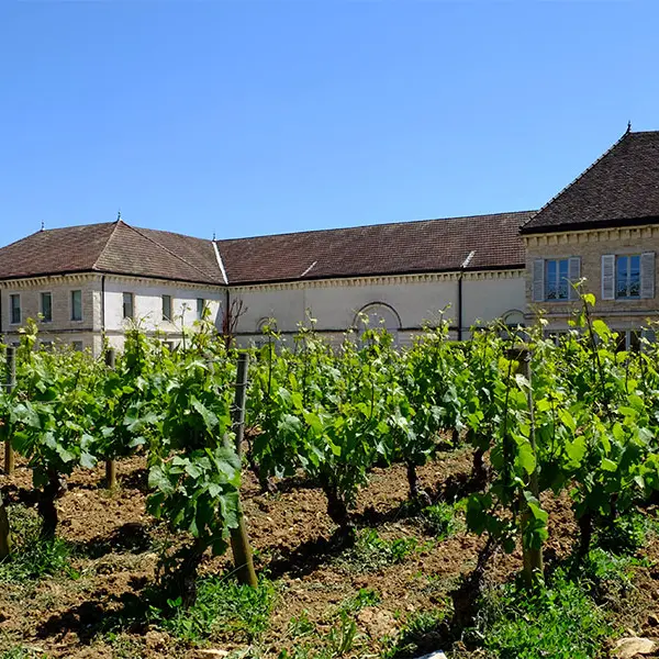 Famille Picard - Chassagne Montrachet
