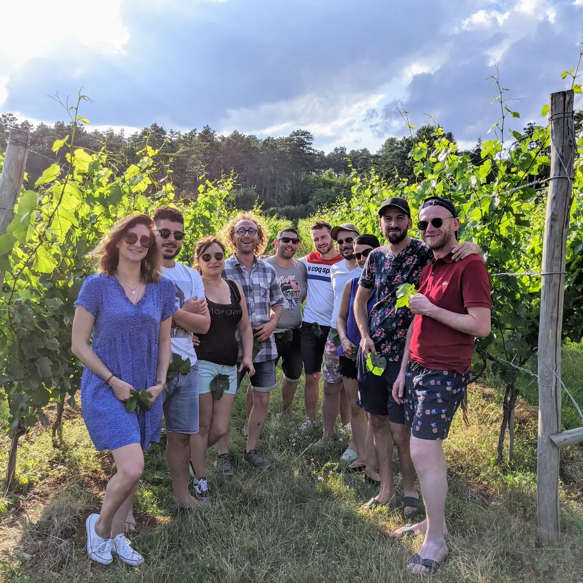Groupe d'amis dans la vigne du clos