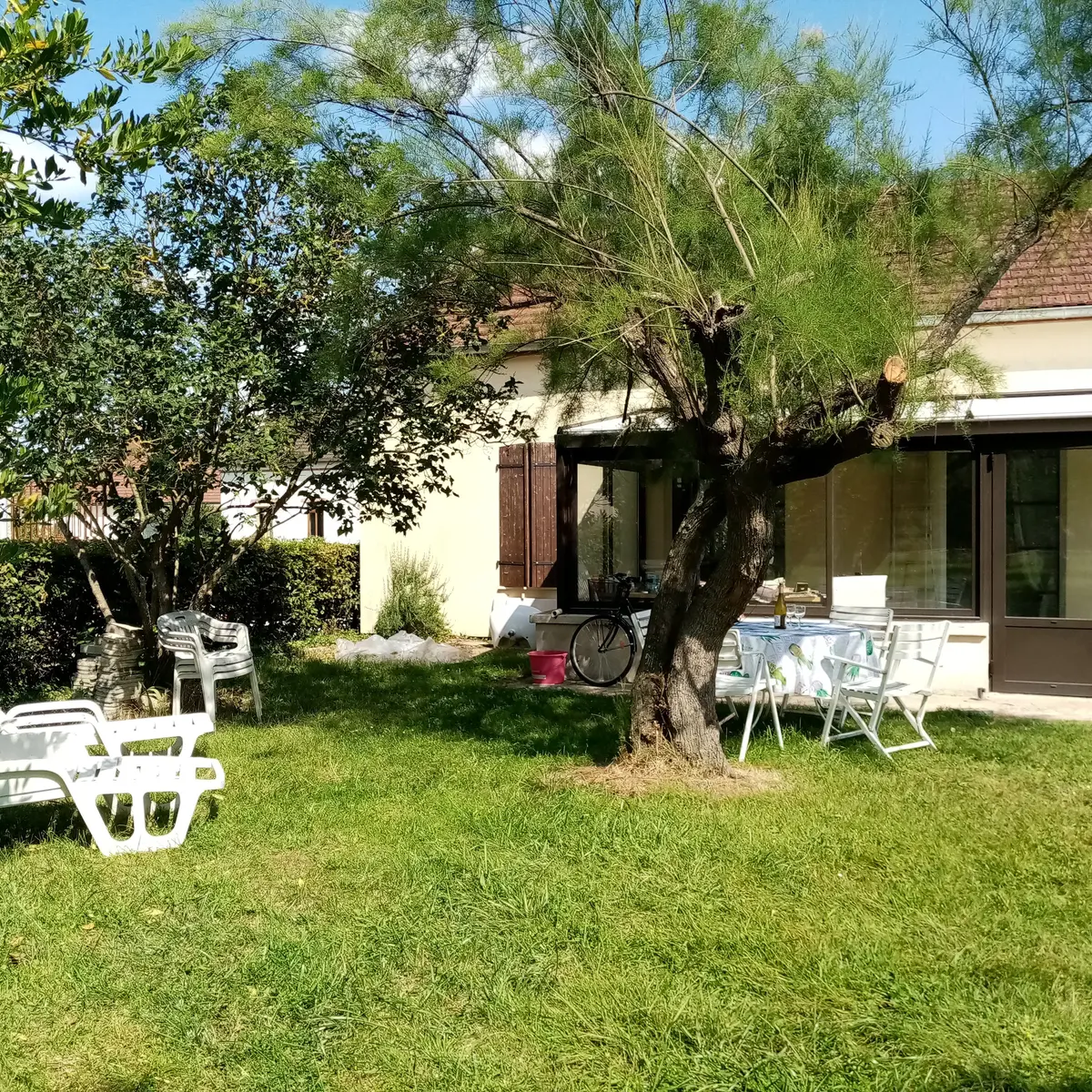 Jardin