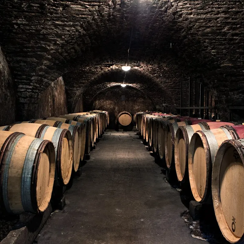 OTBEAUNE_003785_BD
