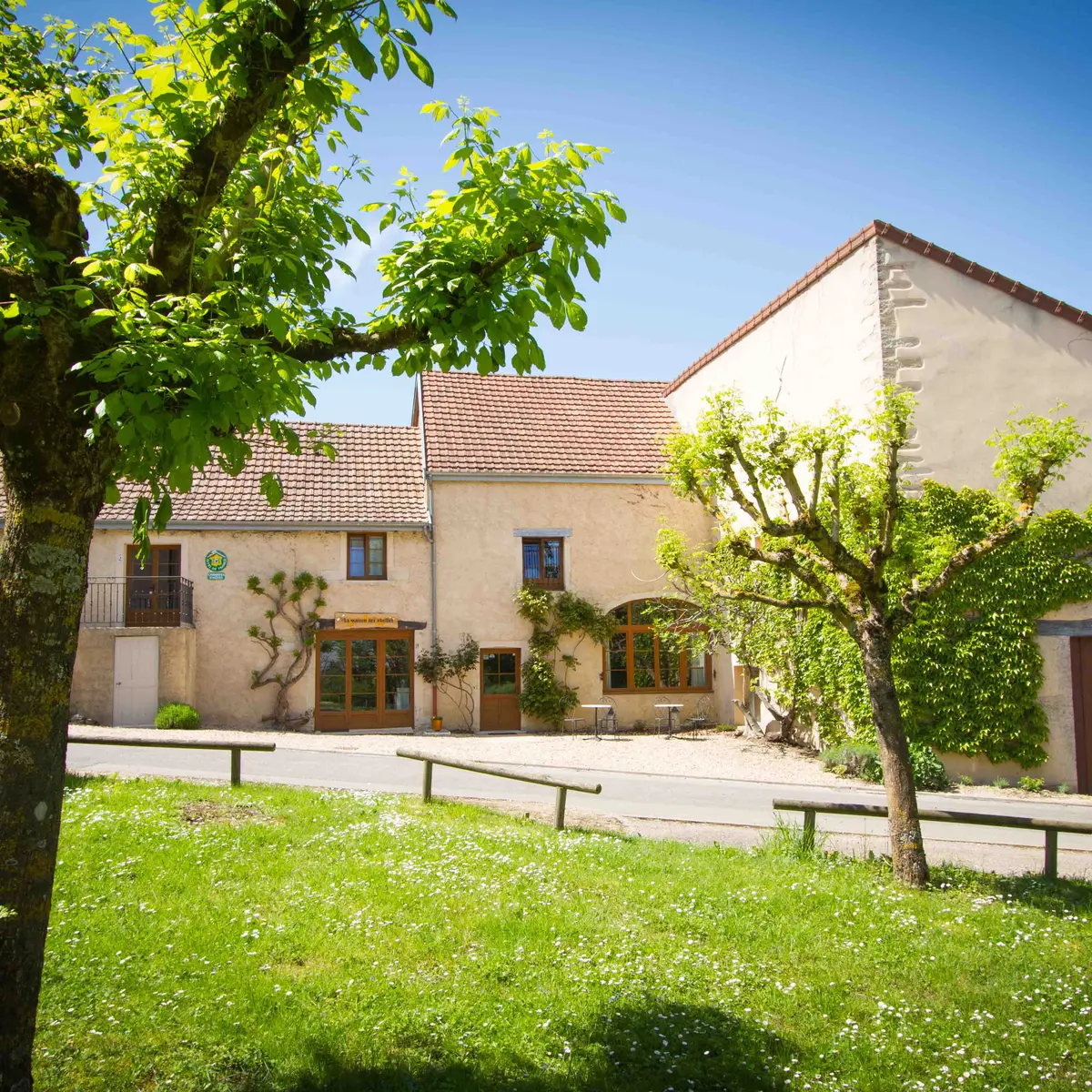 La Maison des Abeilles_vue de face