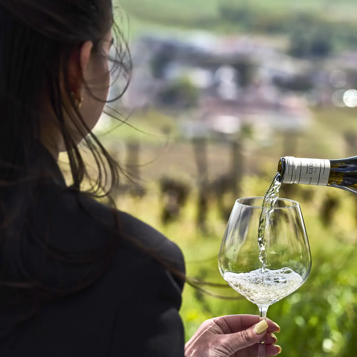 Les Vins Ans