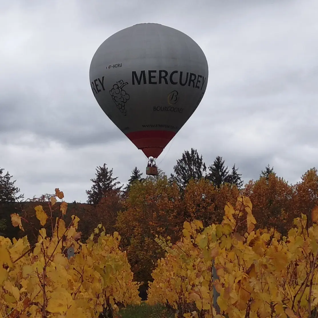 Mercurey - Art Montgolfière Bourgogne - Loisirs - 2022 (4)