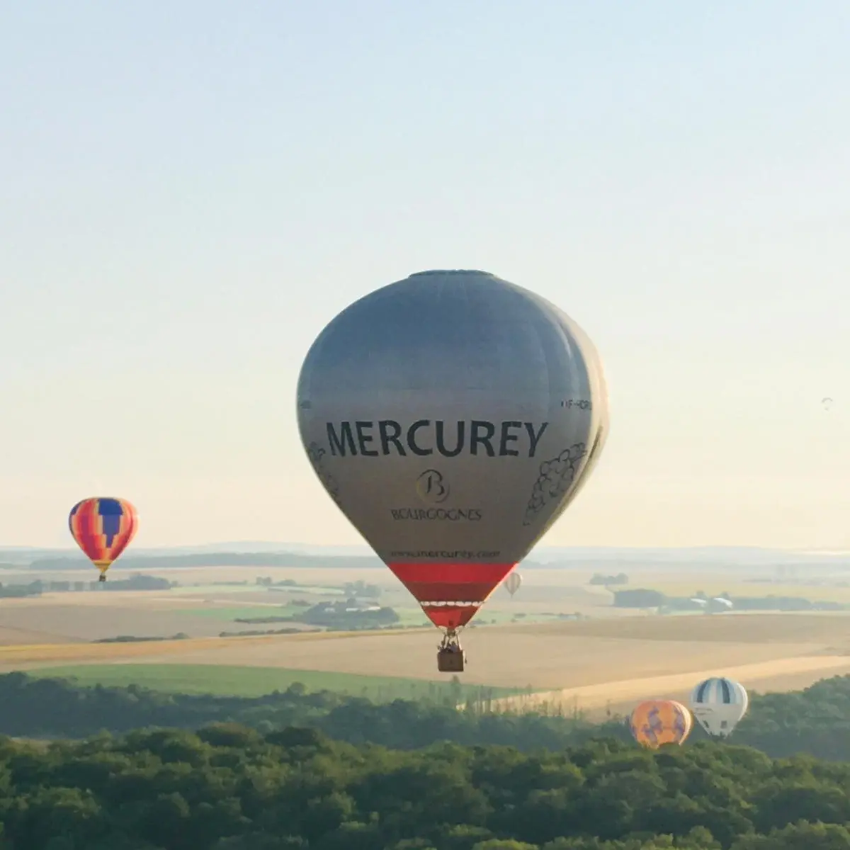 Mercurey - Art Montgolfière Bourgogne - Loisirs - 2022 (1)