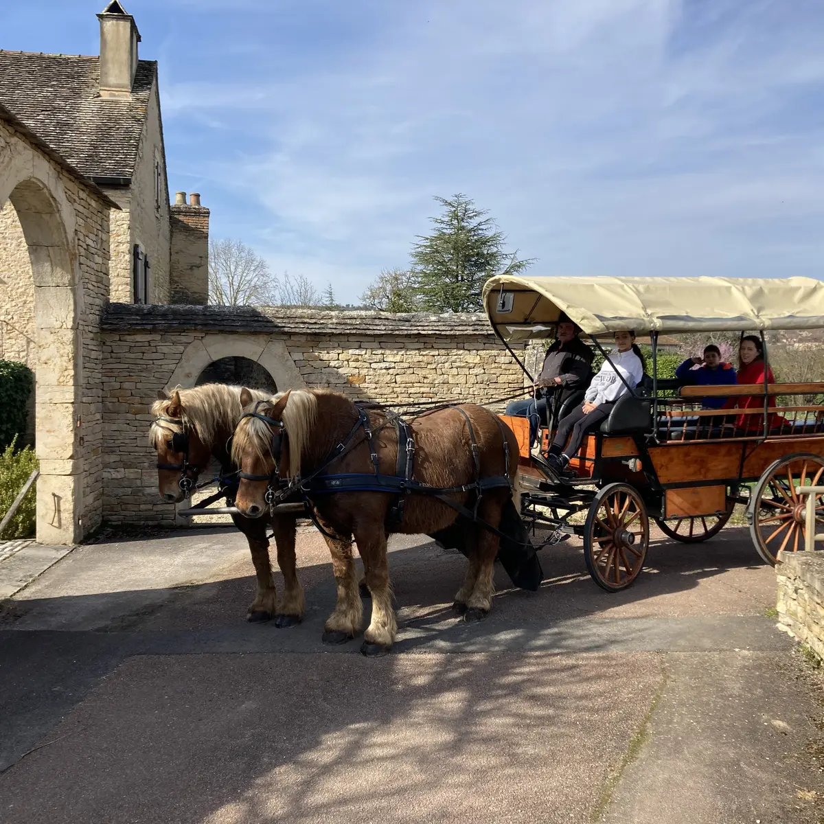 New visuel Attelage Beaune Passion 1