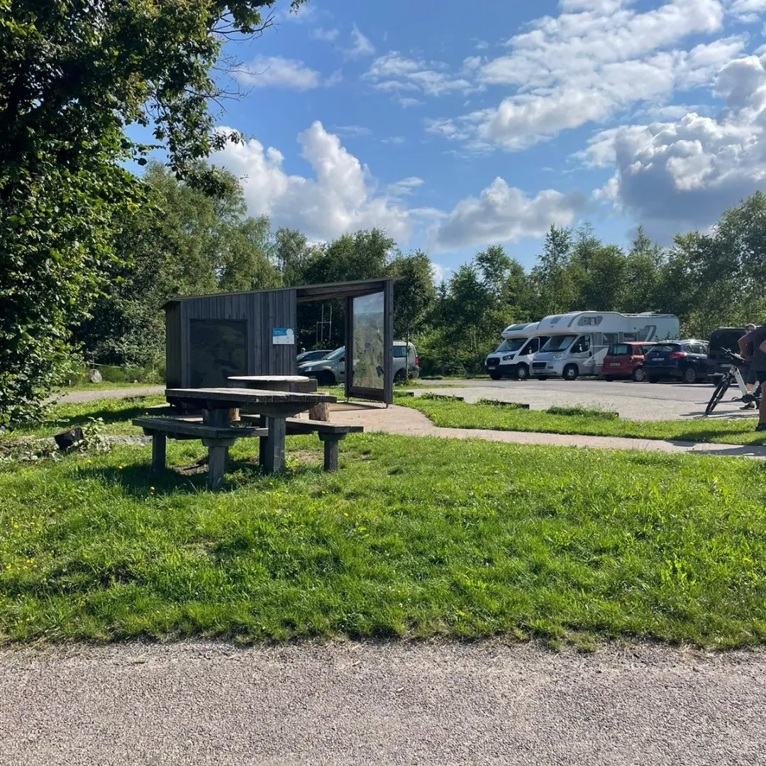 Screenshot_20240724_133107_WhatsApp