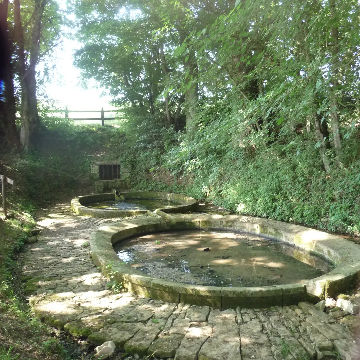 La Fontaine des Ormois