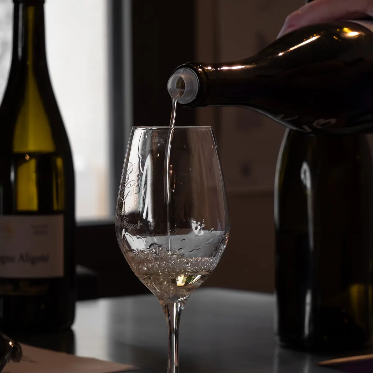Dégustation vin blanc - Domaine B. Guyot