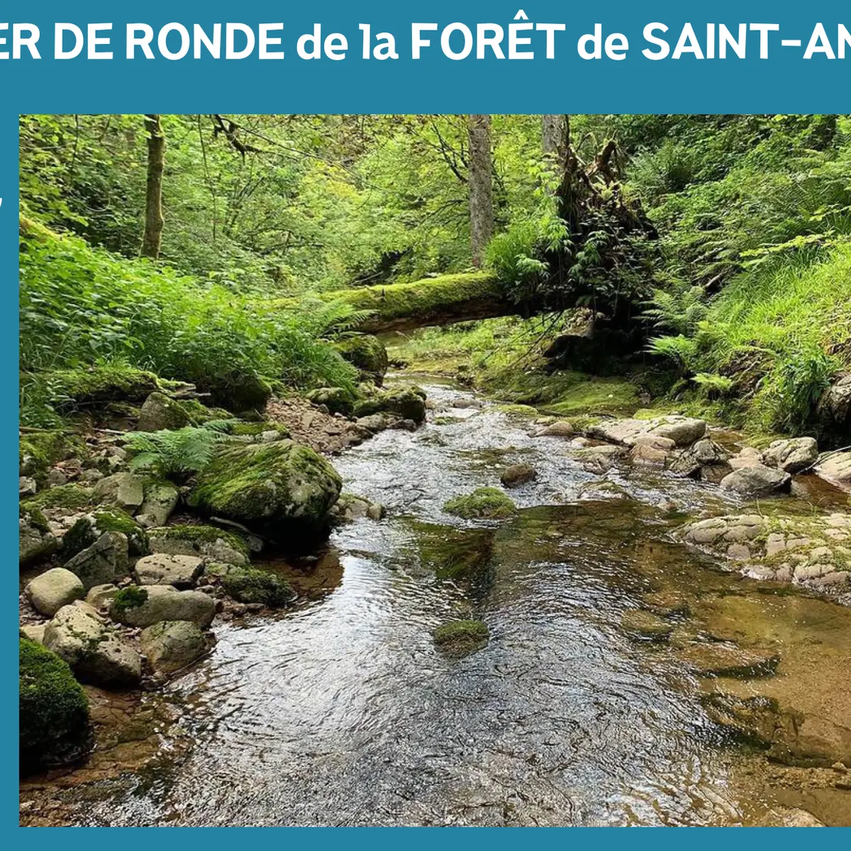 FICHE RANDO DDATA màj 2024 MAI - Ronde de la foret de Saint-Antoine (4)