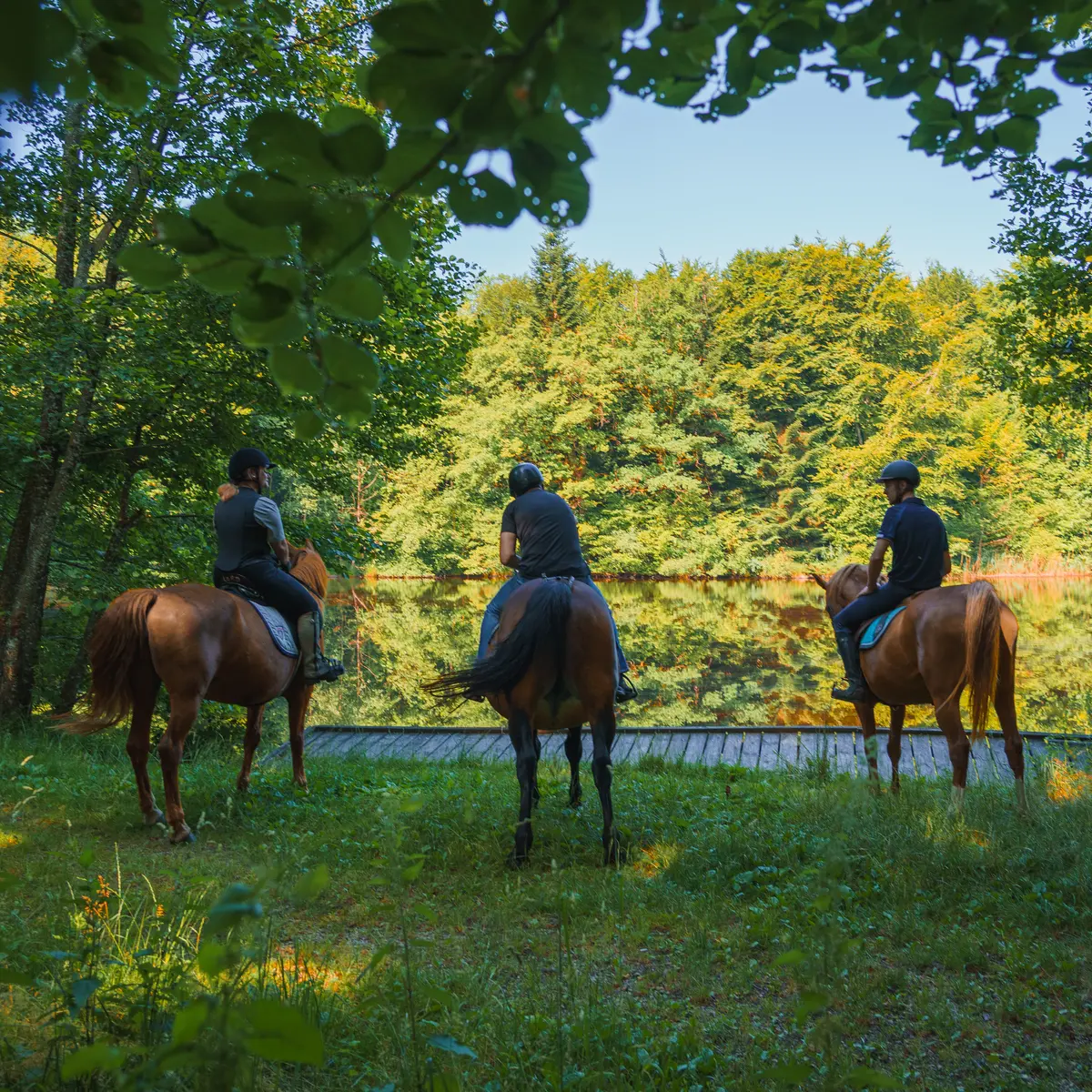 Tourisme Equestre 1000 Etangs - Maxime Nagely (4)