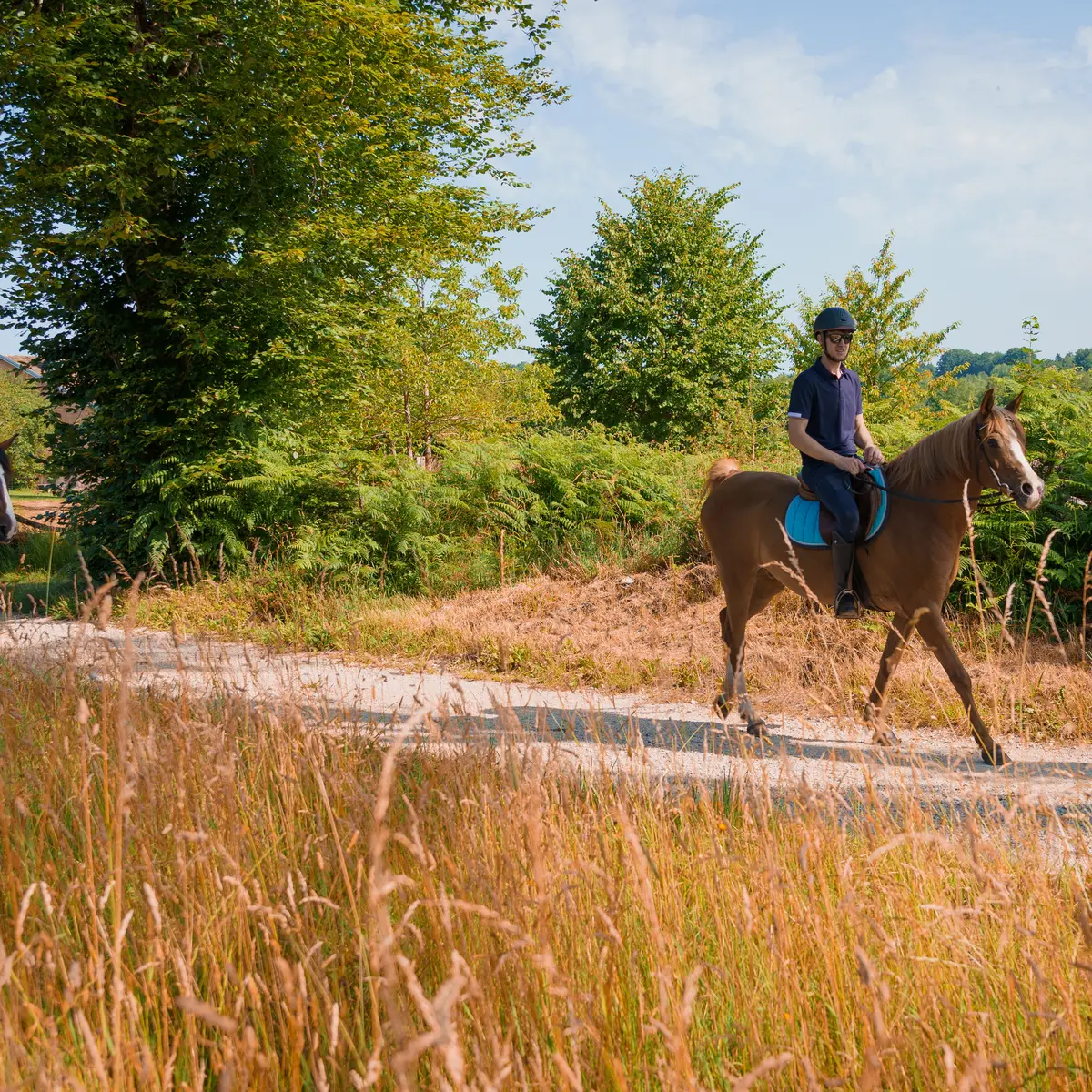 Tourisme Equestre 1000 Etangs - Maxime Nagely (1)