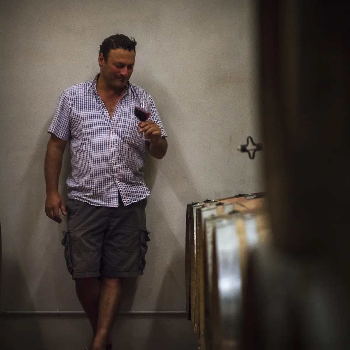 V39-fred-vardon-vigneron-16