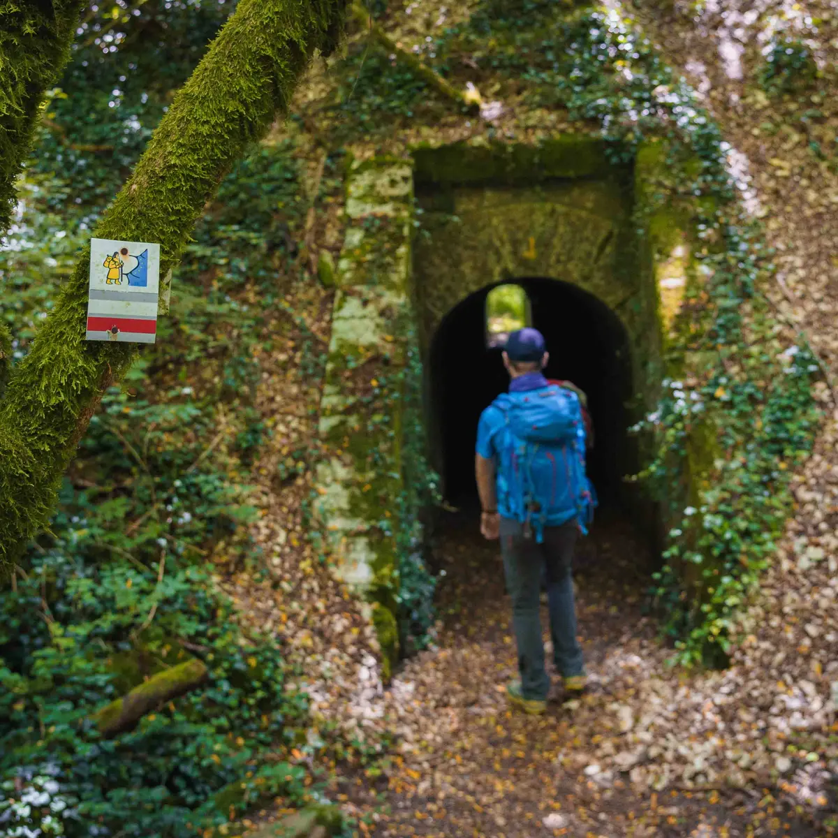 VVS-OT4R-VIAFRANCIGENA-LQ-6