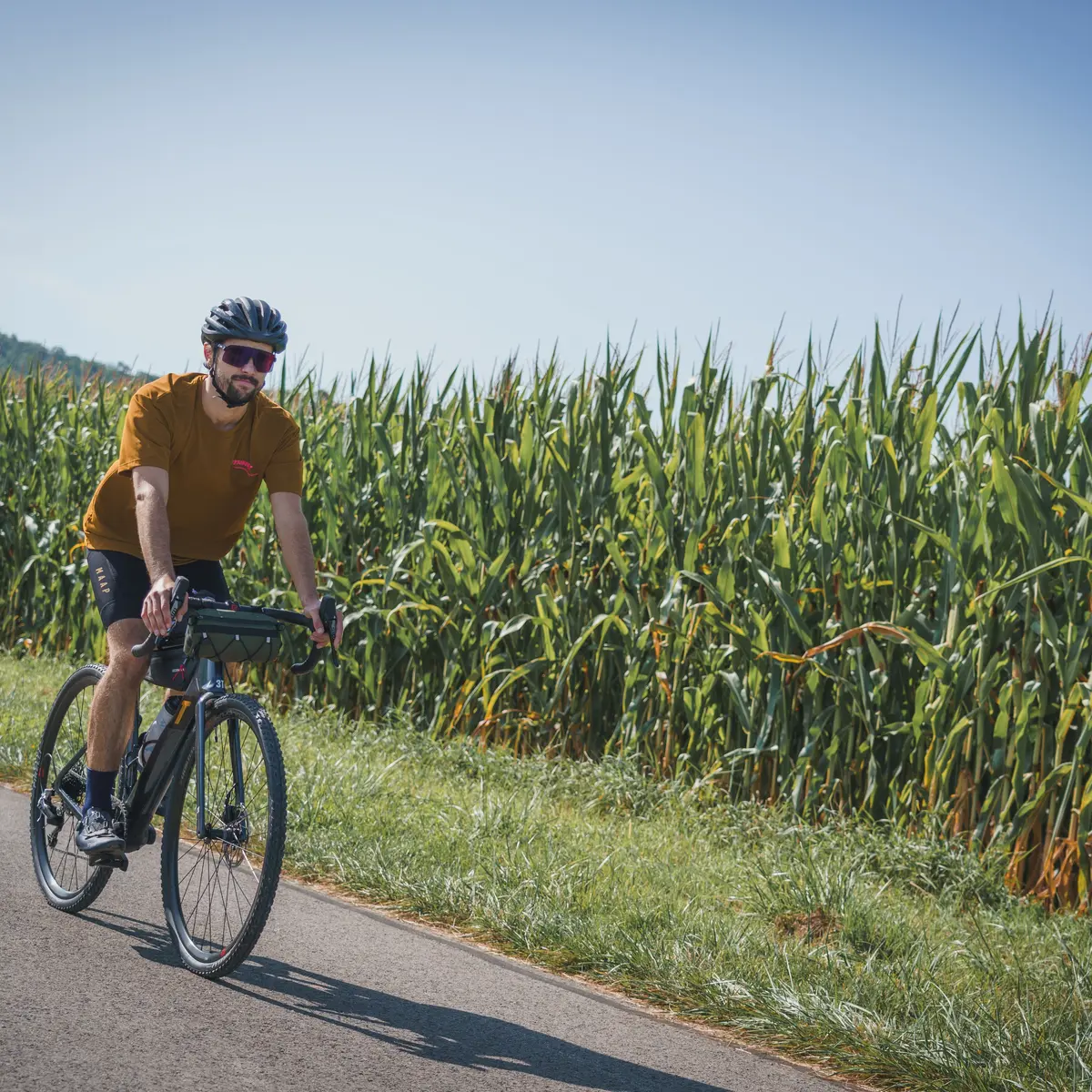 VVS-TRANSVERSAL-TraceduCourlis-HQ-1