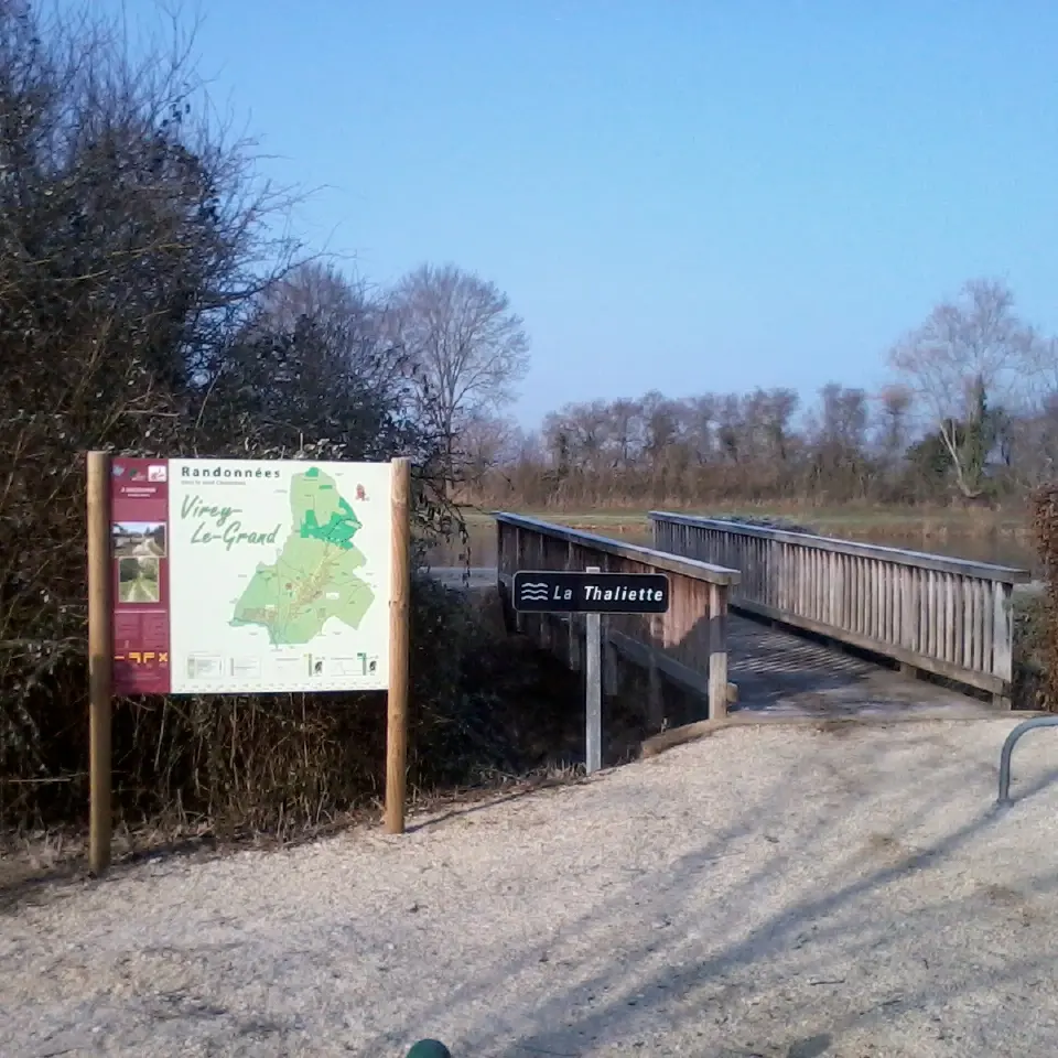 Virey le Grand - Etang du Gravalou - 2017 (1)