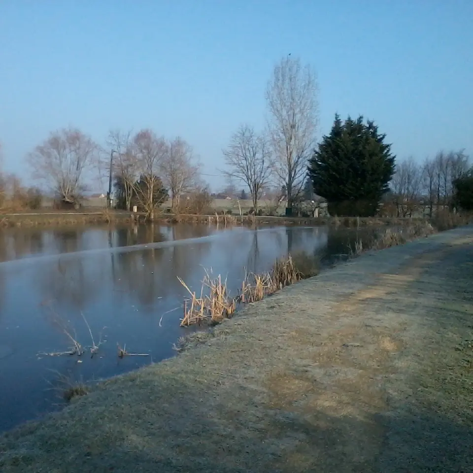 Virey le Grand - Etang du Gravalou - 2017 (2)