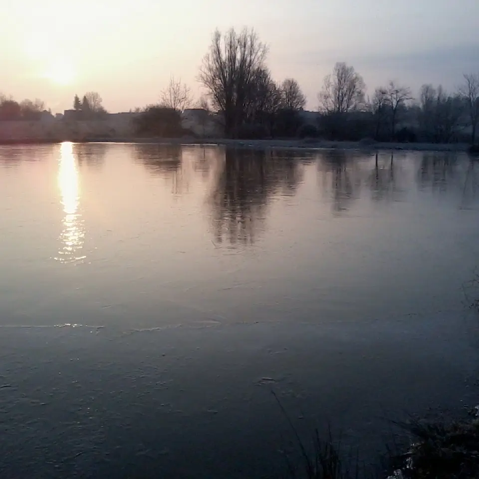 Virey le Grand - Etang du Gravalou - 2017 (4)