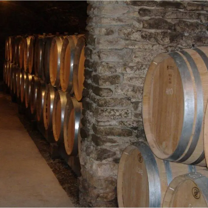 Domaine-Patrick-Hudelot-3