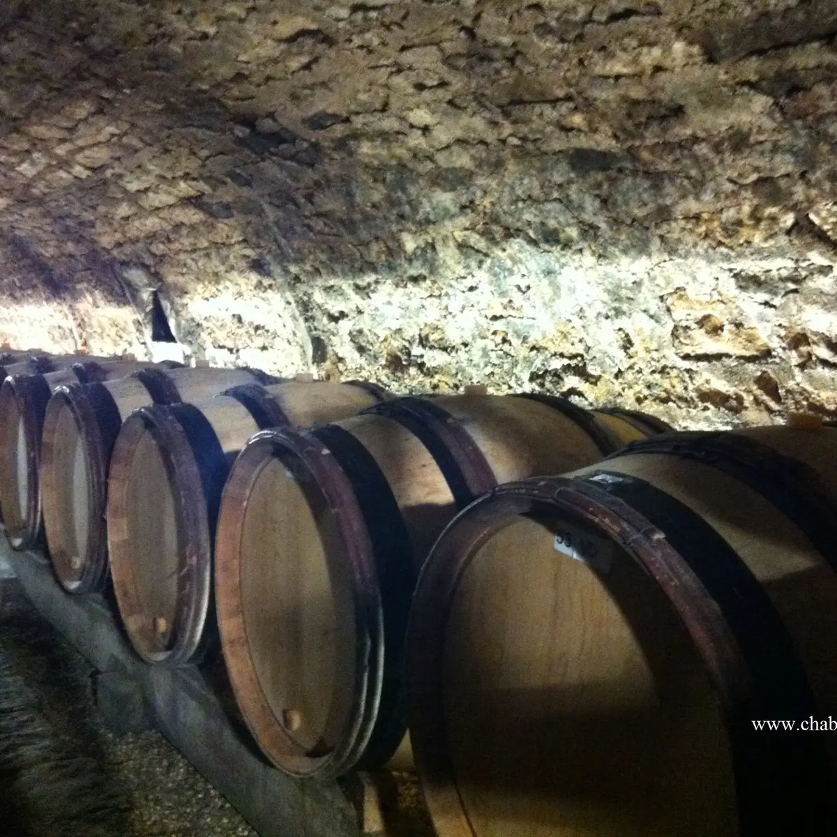 cave chablis - Chablis Vititours