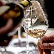 chardonnay à l'aveugle